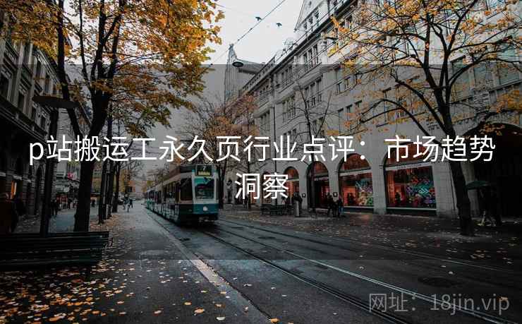 p站搬运工永久页行业点评：市场趋势洞察
