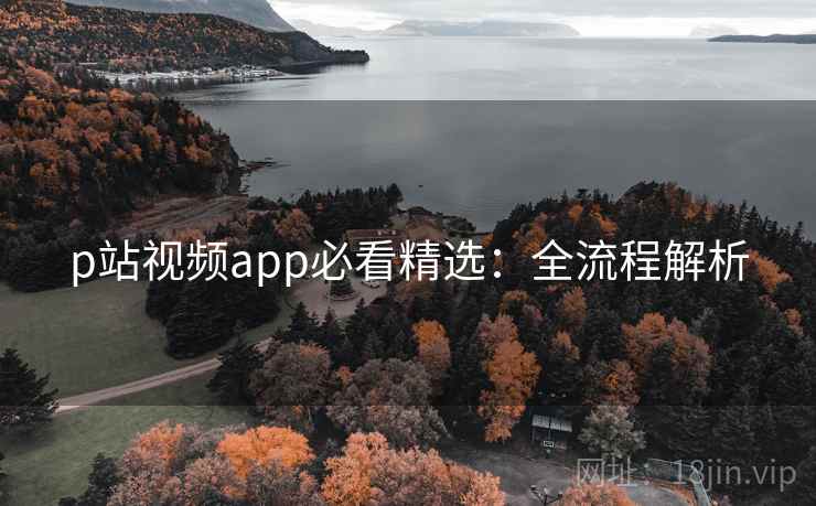 p站视频app必看精选：全流程解析