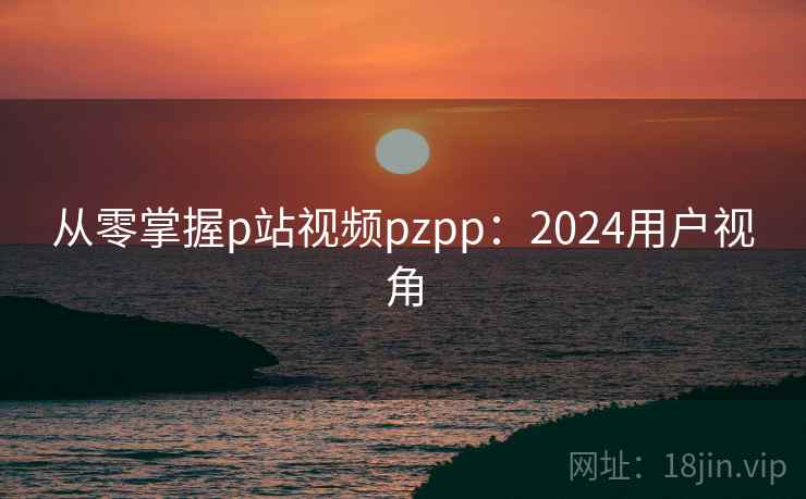 从零掌握p站视频pzpp：2024用户视角