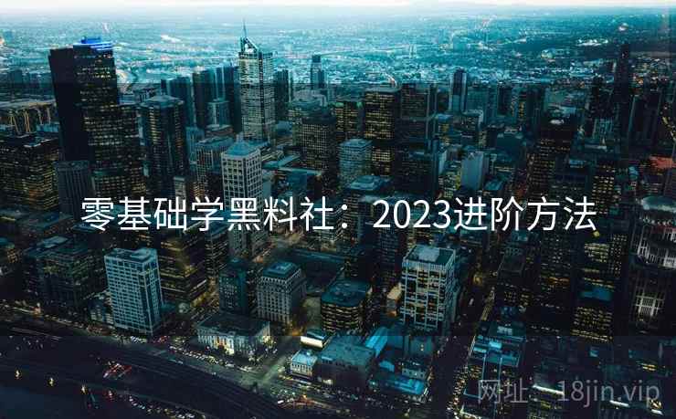 零基础学黑料社：2023进阶方法
