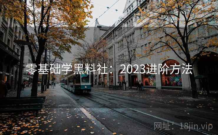 零基础学黑料社:2023进阶方法 零基础学黑料社:2023进阶方法