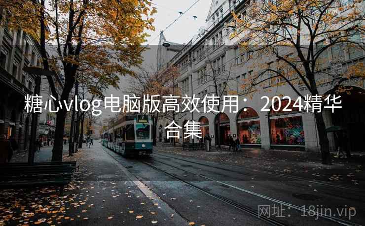 糖心vlog电脑版高效使用：2024精华合集