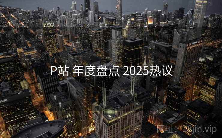 P站 年度盘点 2025热议