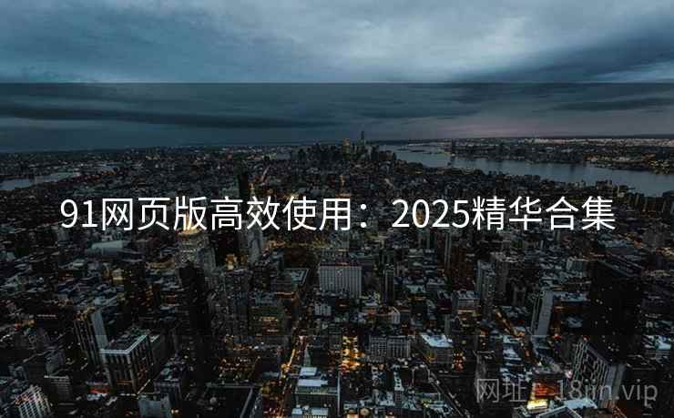 91网页版高效使用：2025精华合集